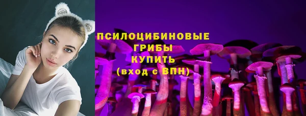 ПСИЛОЦИБИНОВЫЕ ГРИБЫ Алексеевка